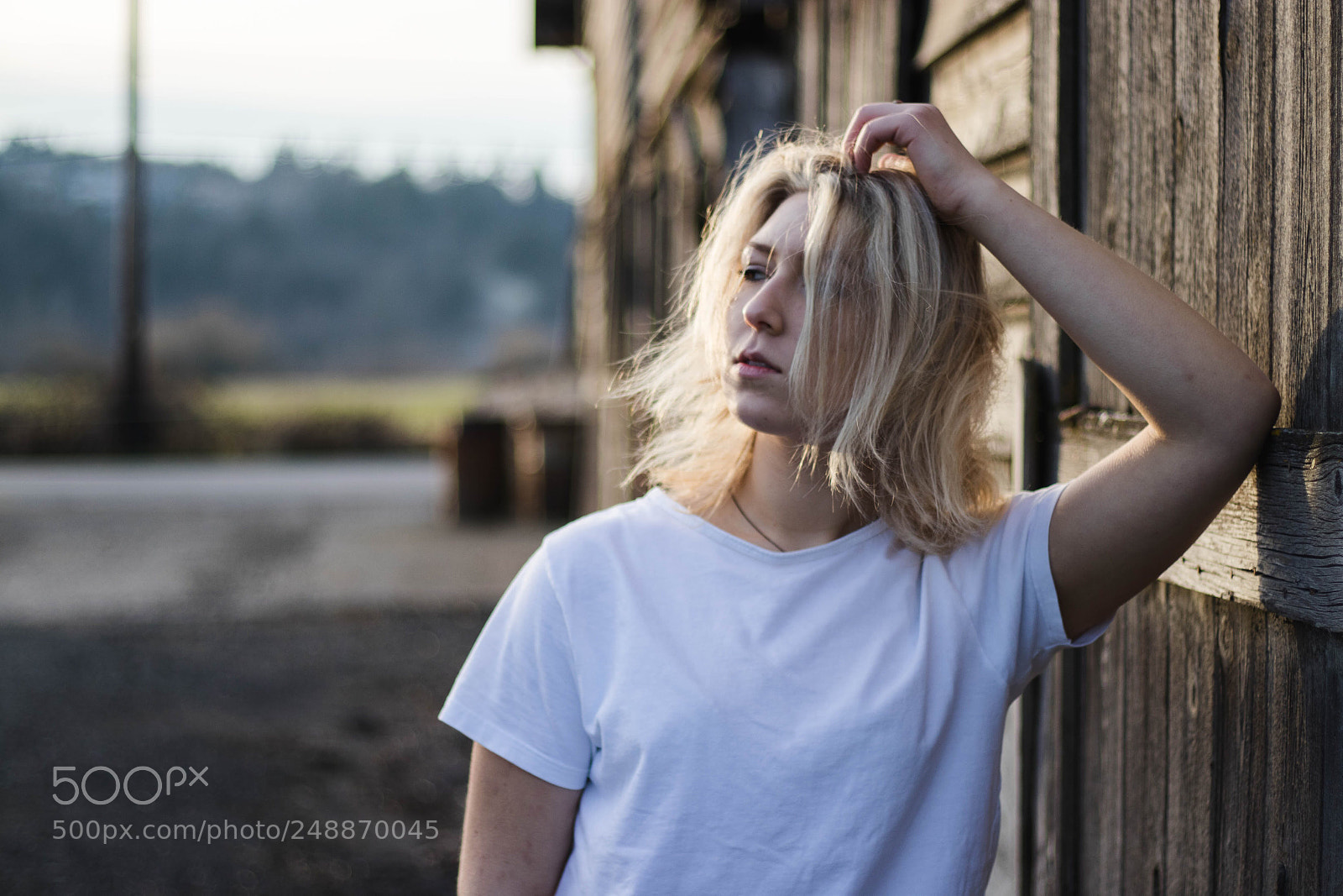 Canon EOS 80D sample photo. Untitled photography