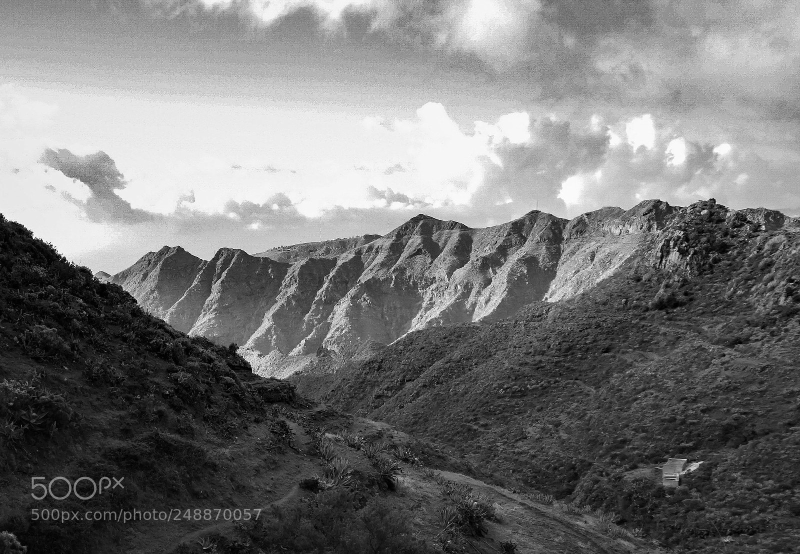 Sony a6000 sample photo. Valle luis, anaga, tenerife photography