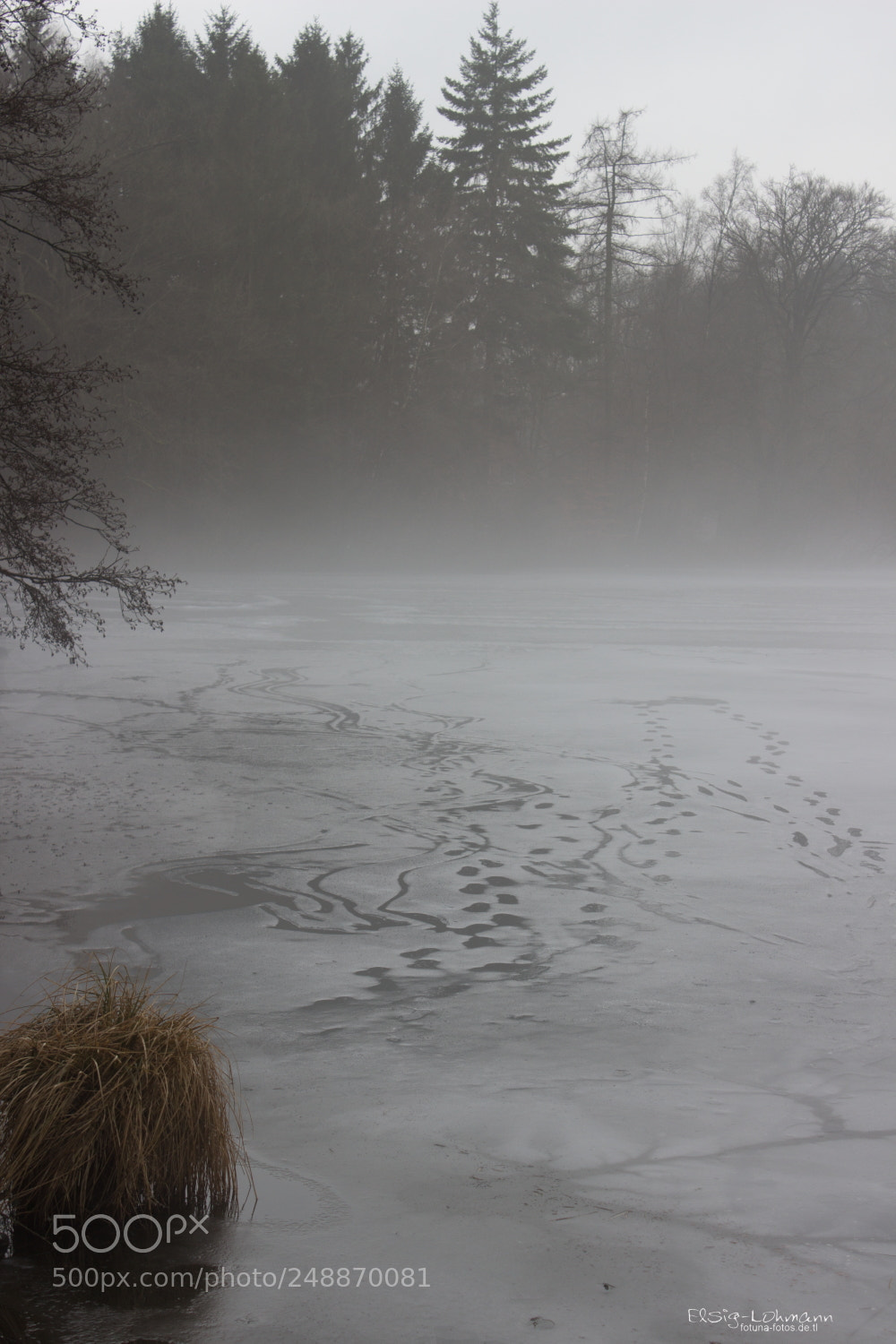 Canon EOS 600D (Rebel EOS T3i / EOS Kiss X5) sample photo. Old tracks on ice photography