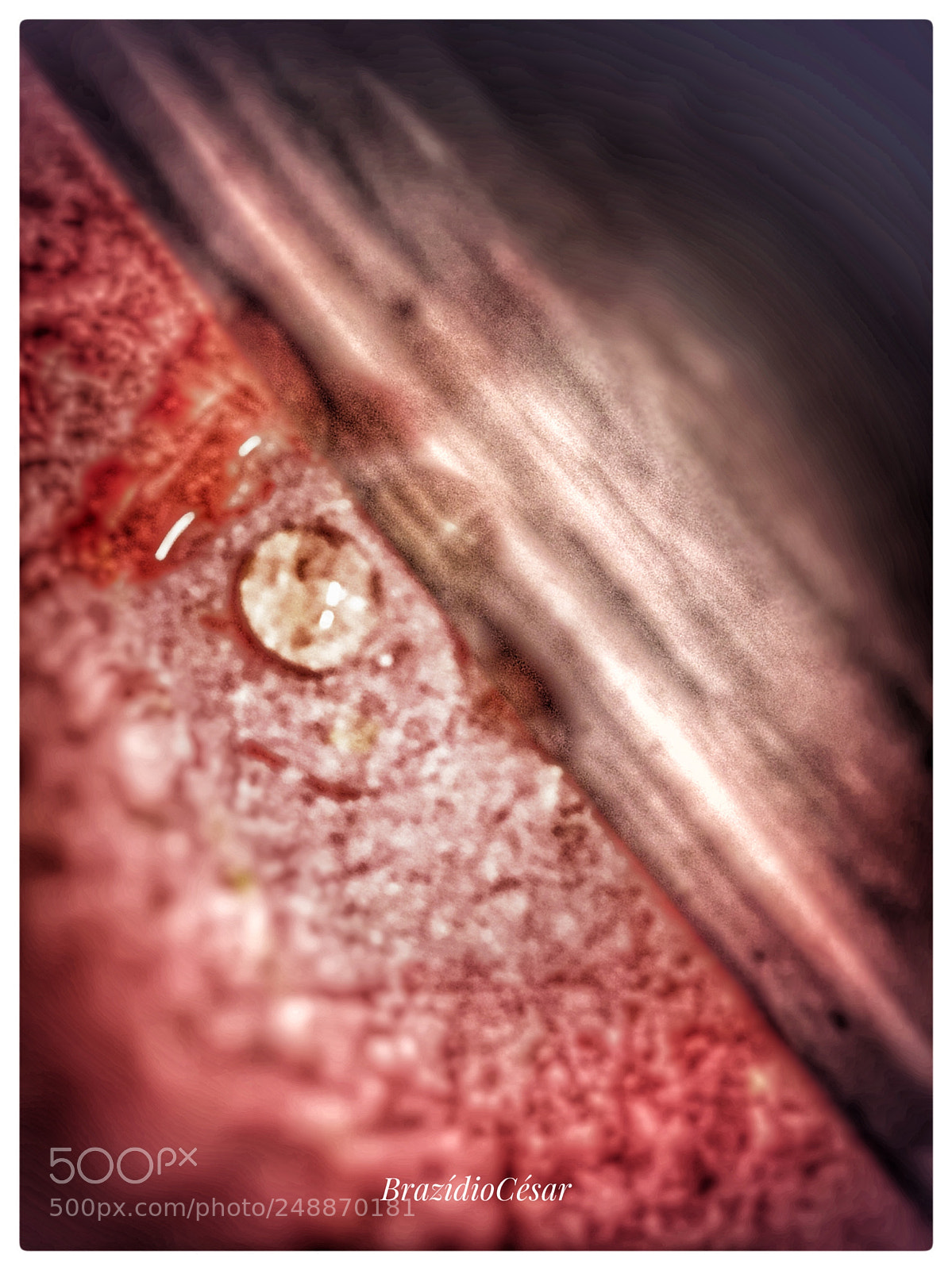 Apple iPhone 6s sample photo. Untitled photography