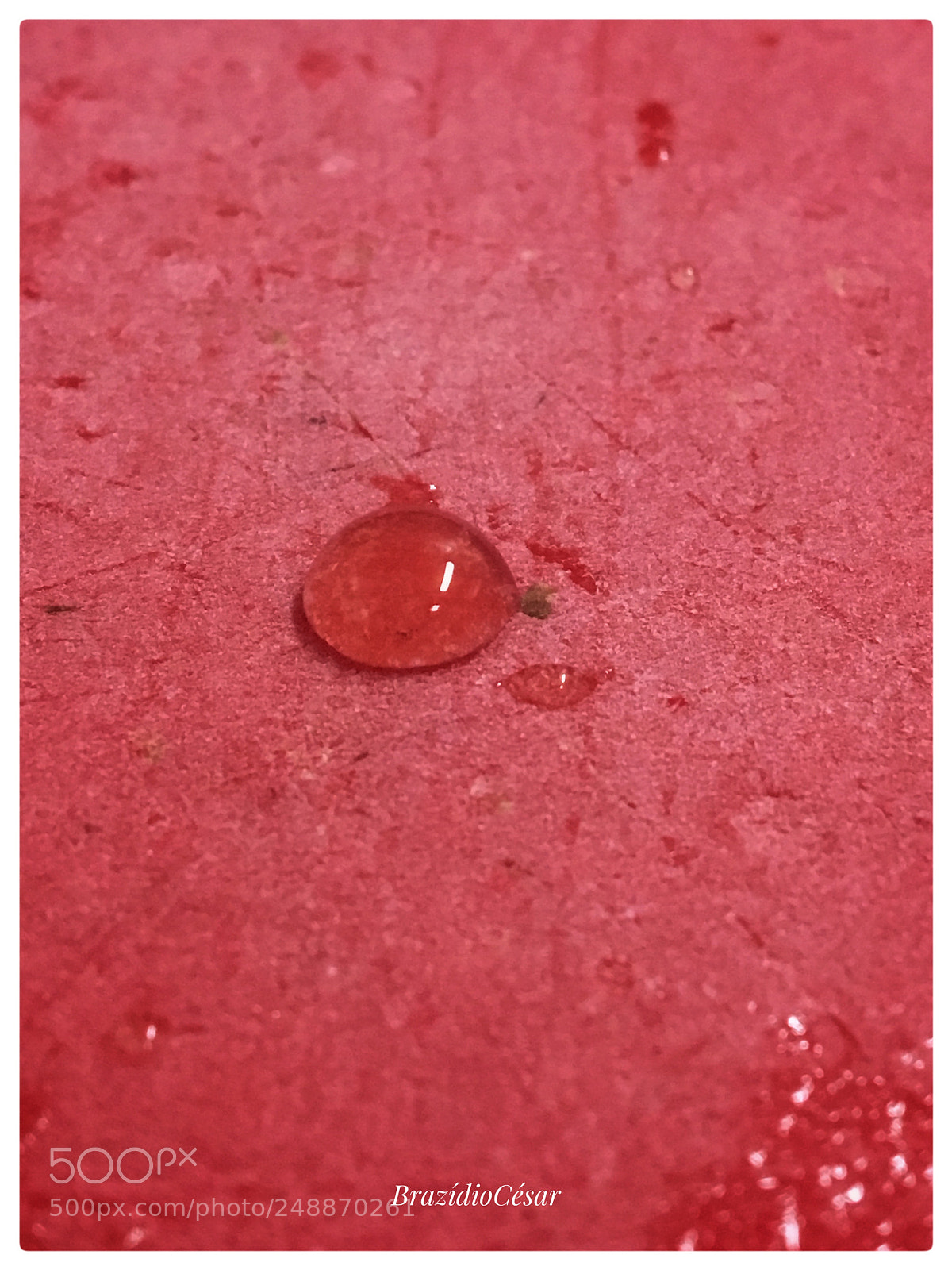 Apple iPhone 6s sample photo. Untitled photography