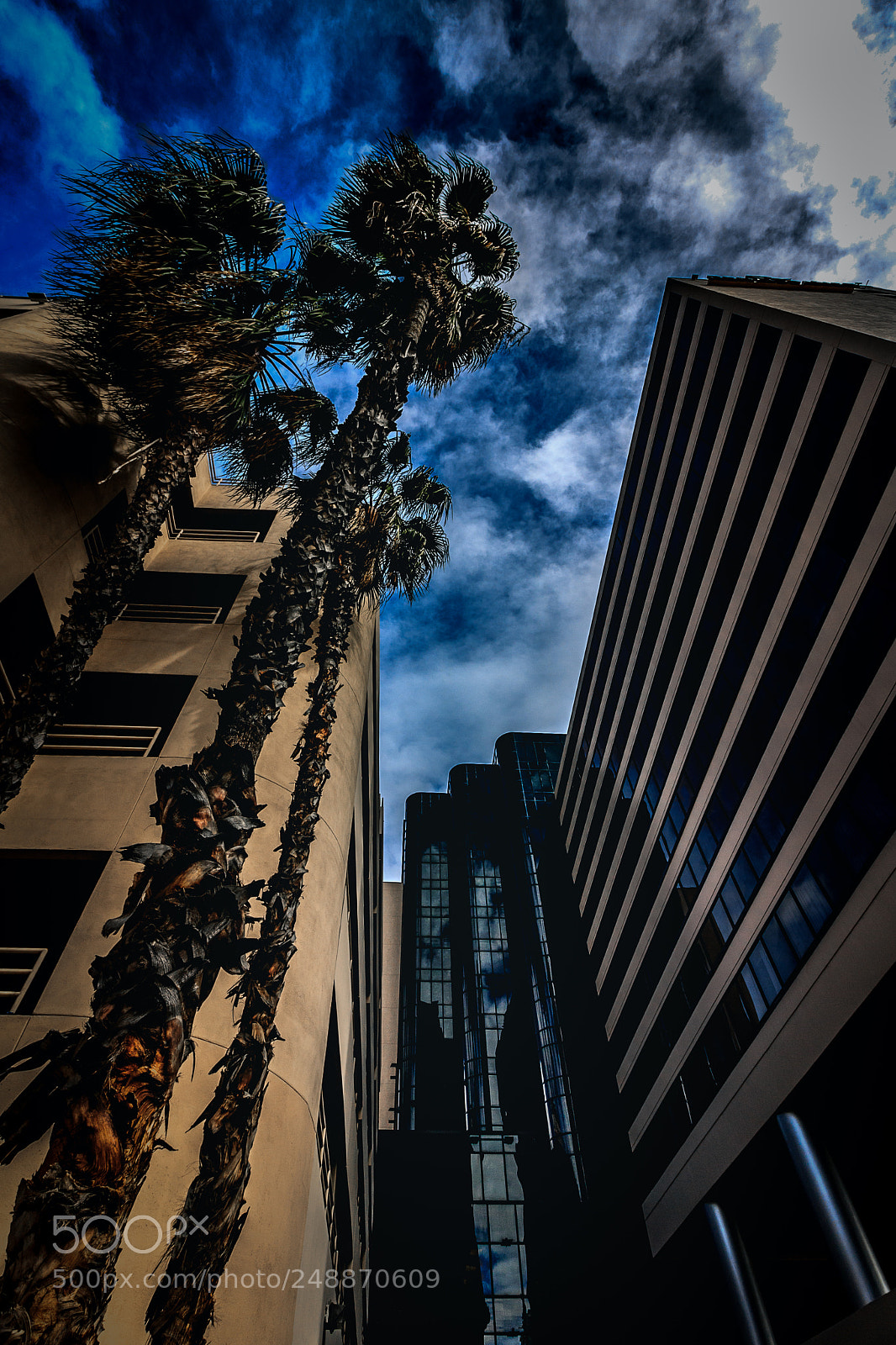 Canon EOS 750D (EOS Rebel T6i / EOS Kiss X8i) sample photo. Dtlb lookup photography