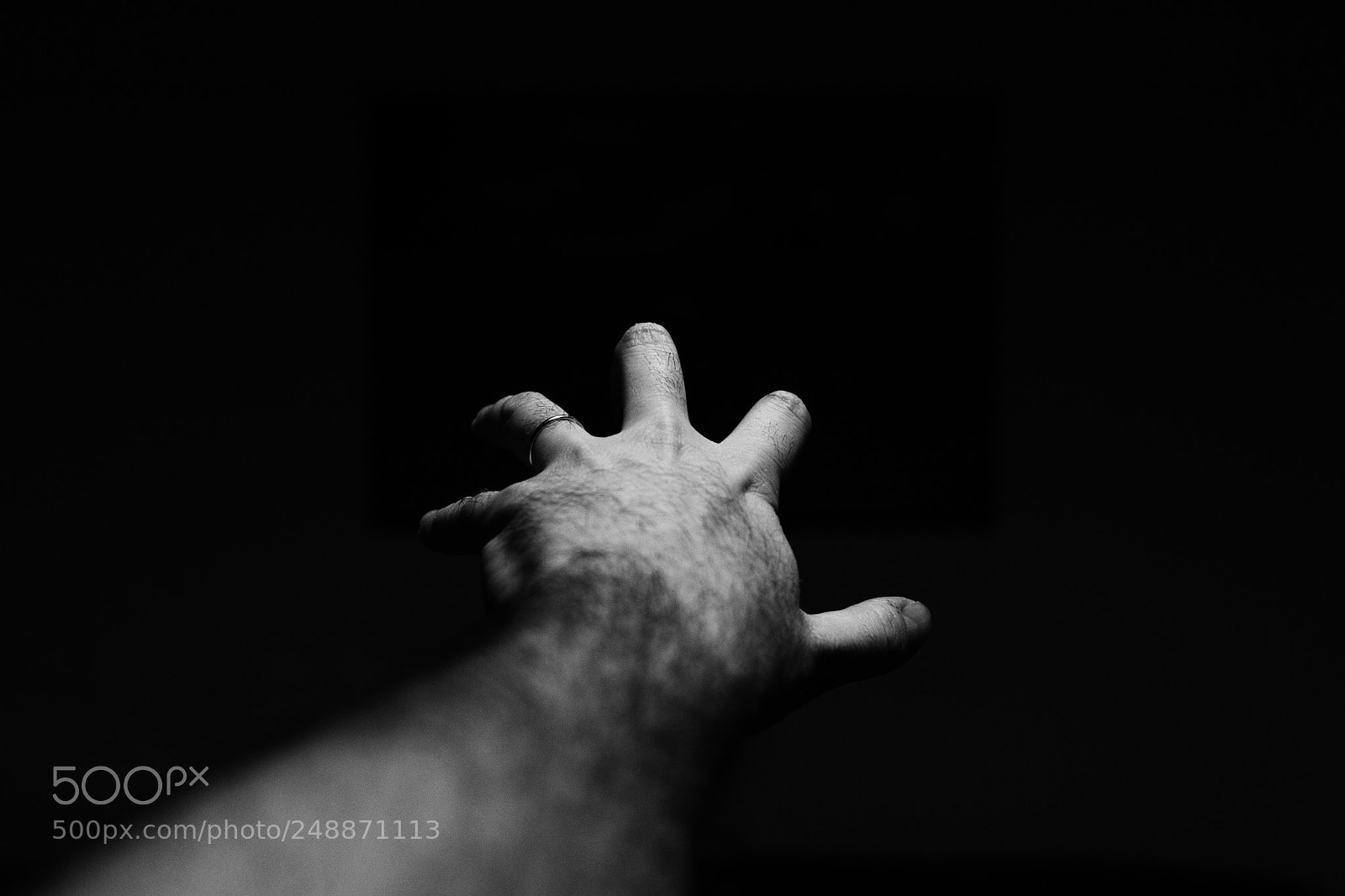 Canon EOS 80D sample photo. Grasp photography