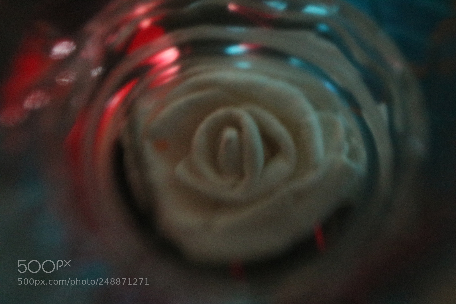 Canon EOS 750D (EOS Rebel T6i / EOS Kiss X8i) sample photo. Untitled photography