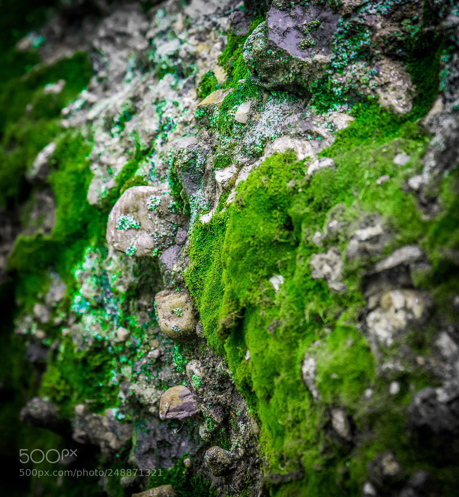 Nikon D7100 sample photo. Stone habitat photography
