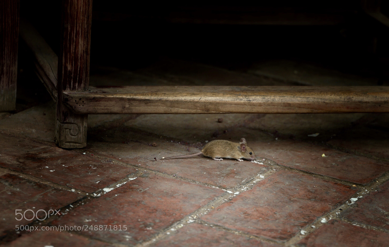 Leica SL (Typ 601) sample photo. Untitled photography