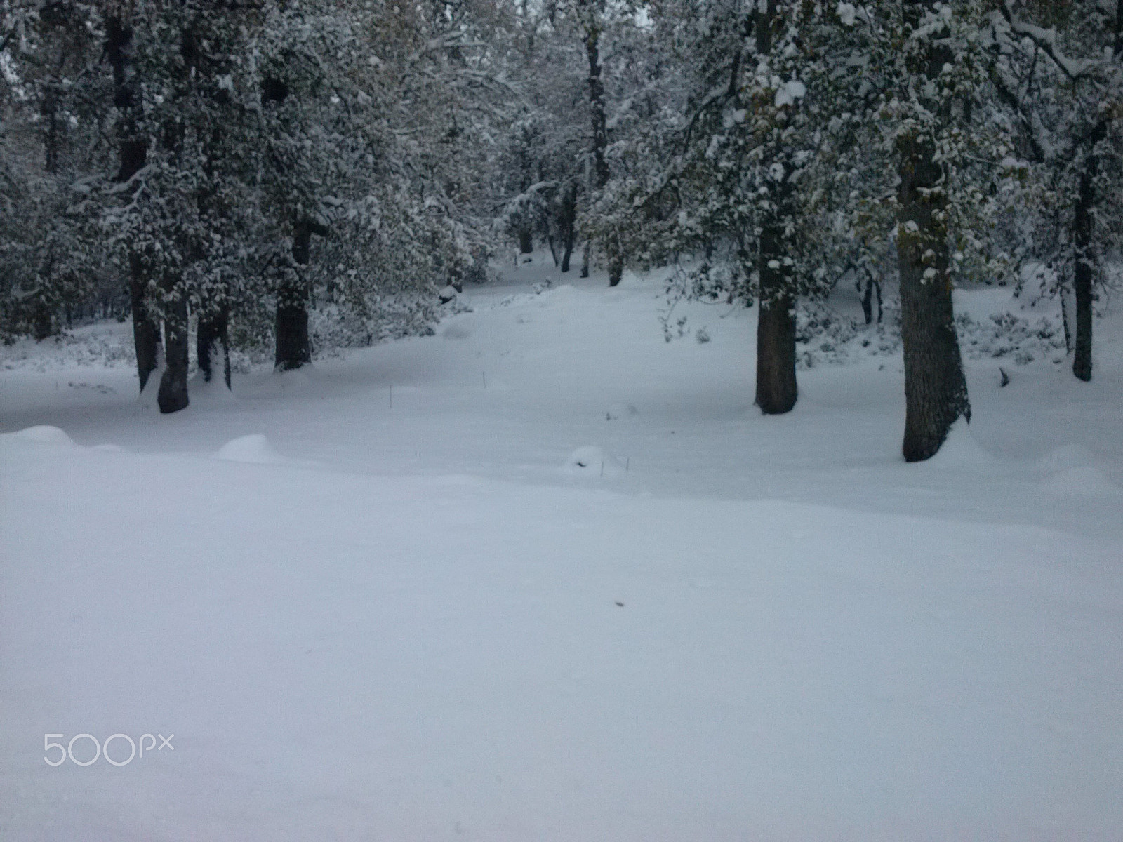 LG Optimus L5 sample photo. Snowfall in ifran photography