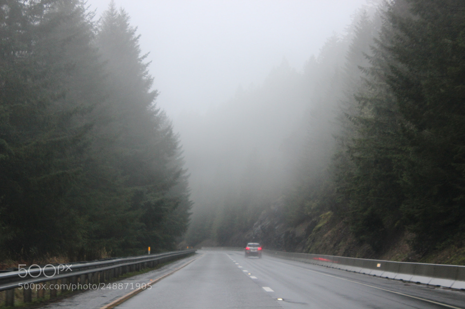 Canon EOS 600D (Rebel EOS T3i / EOS Kiss X5) sample photo. Foggy forest road photography