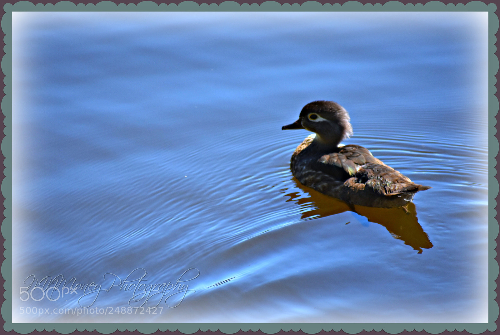 Nikon D3400 sample photo. 000010.jpg photography