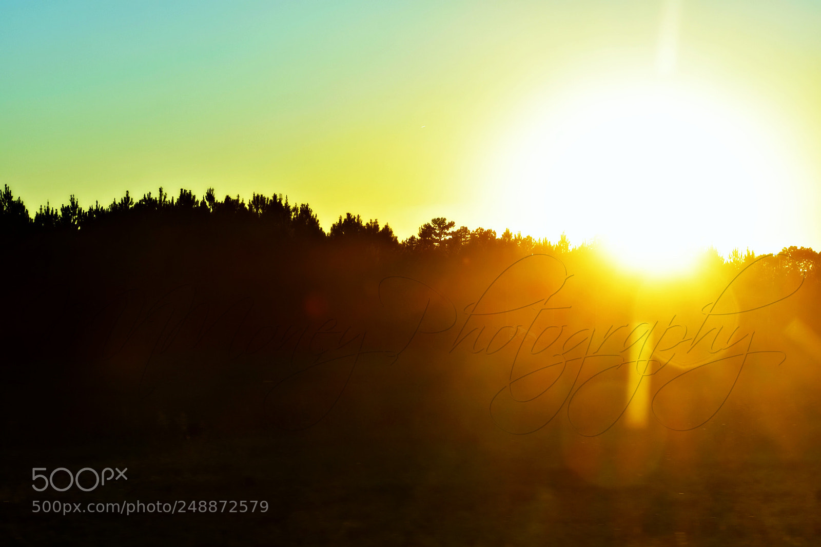 Nikon D3400 sample photo. Sunset photography