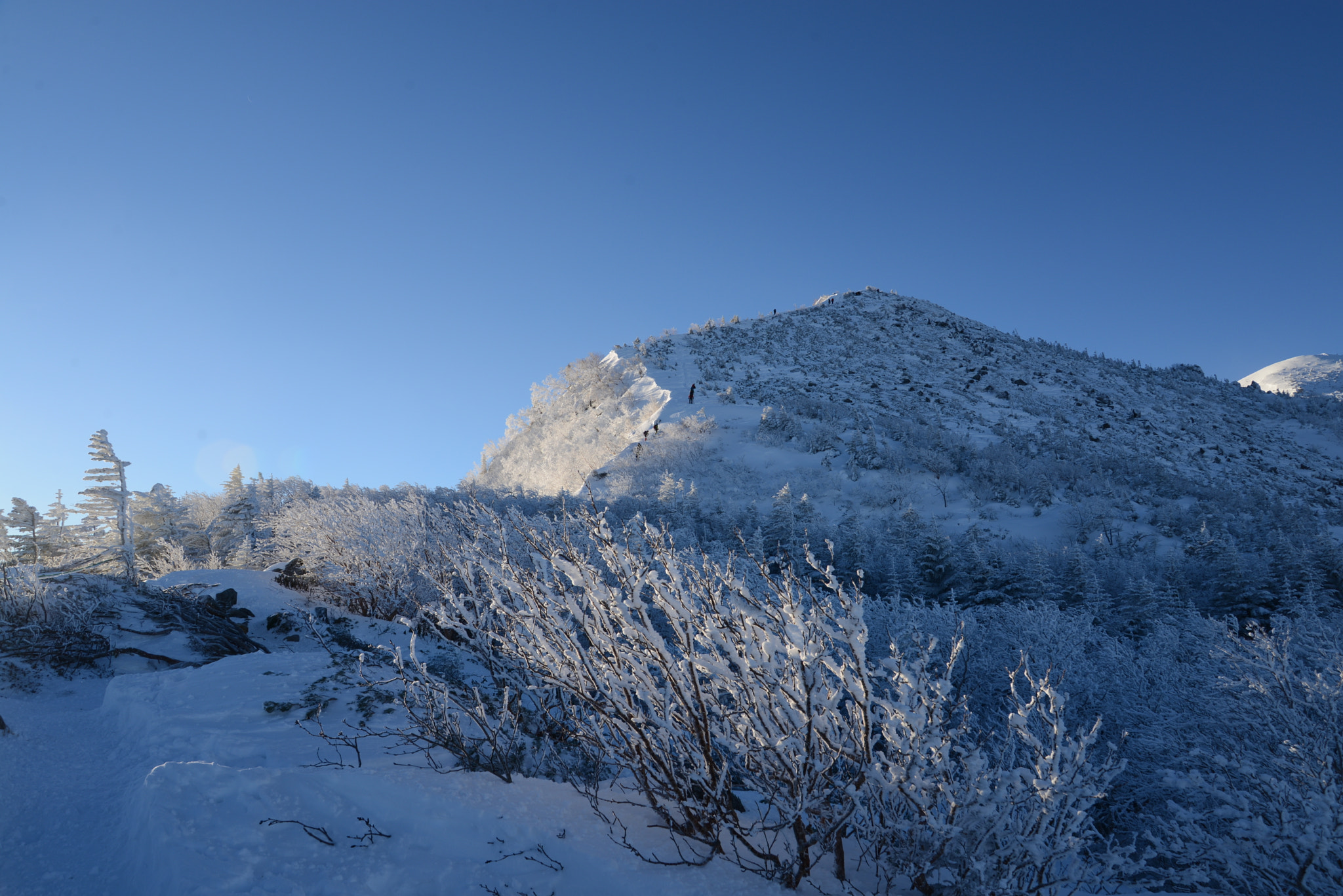 Nikon D600 sample photo. 天狗岳冬景色 photography