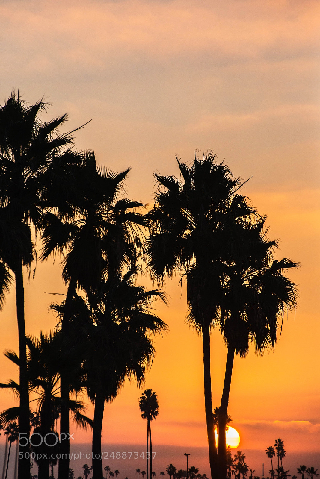 Nikon D600 sample photo. Long beach dawn photography