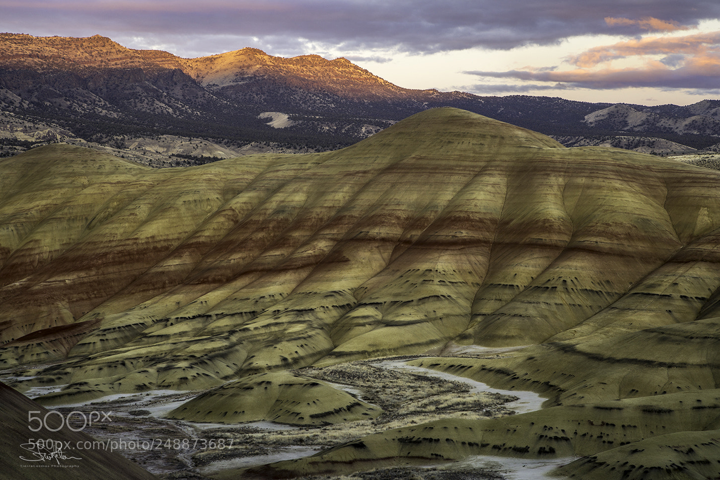 Sony a7R II sample photo. Painted hills sunset photography