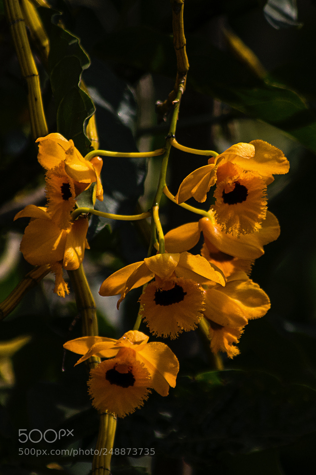 Nikon D3400 sample photo. Untitled photography