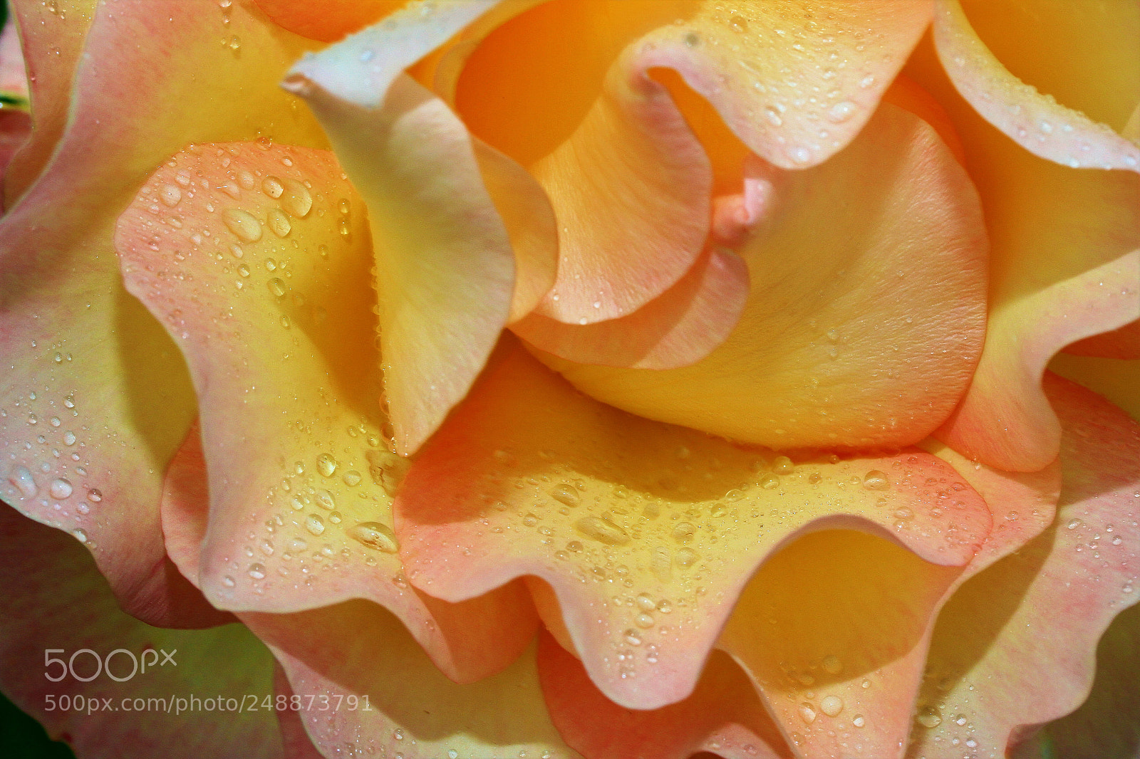 Canon EOS 7D sample photo. Another rainy day photography