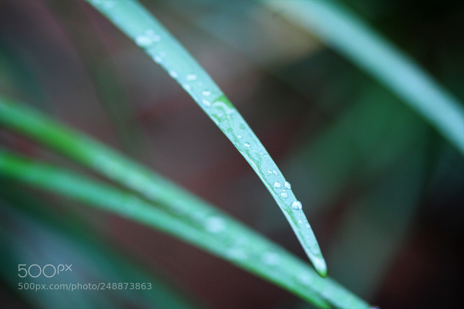 Canon EOS 7D sample photo. Another rainy day photography