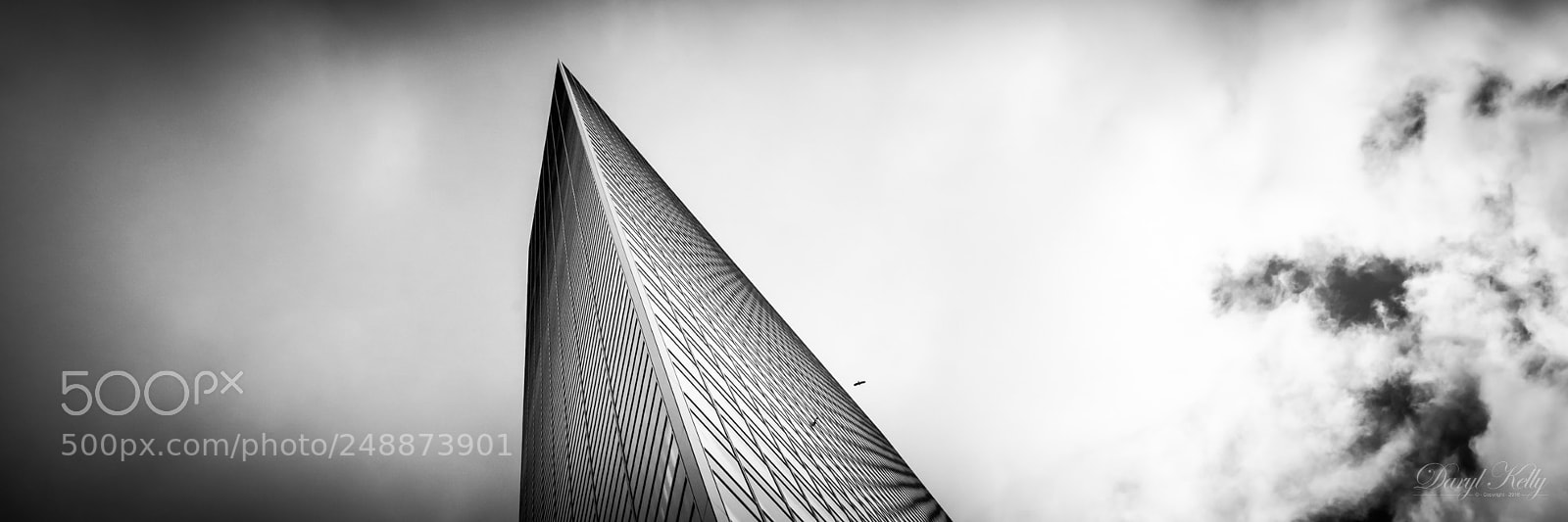 Nikon D800E sample photo. Soaring photography