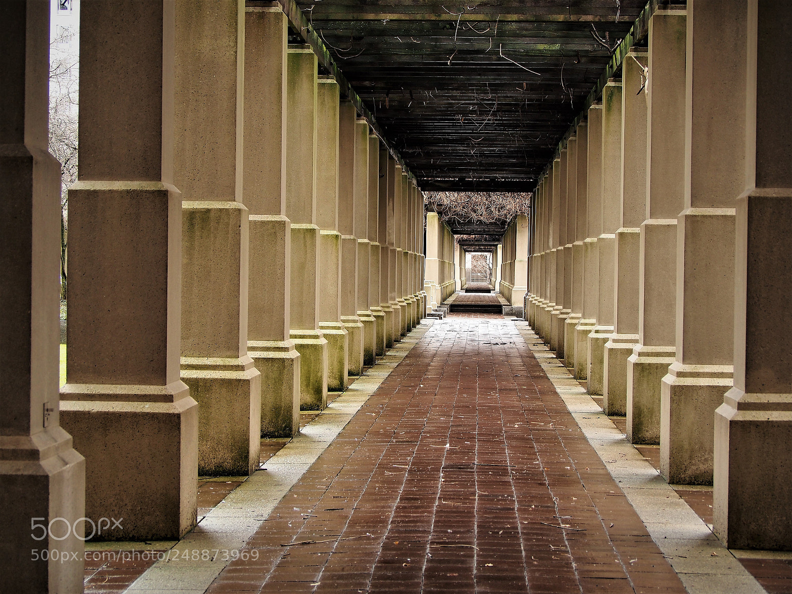 Olympus OM-D E-M5 sample photo. Path photography