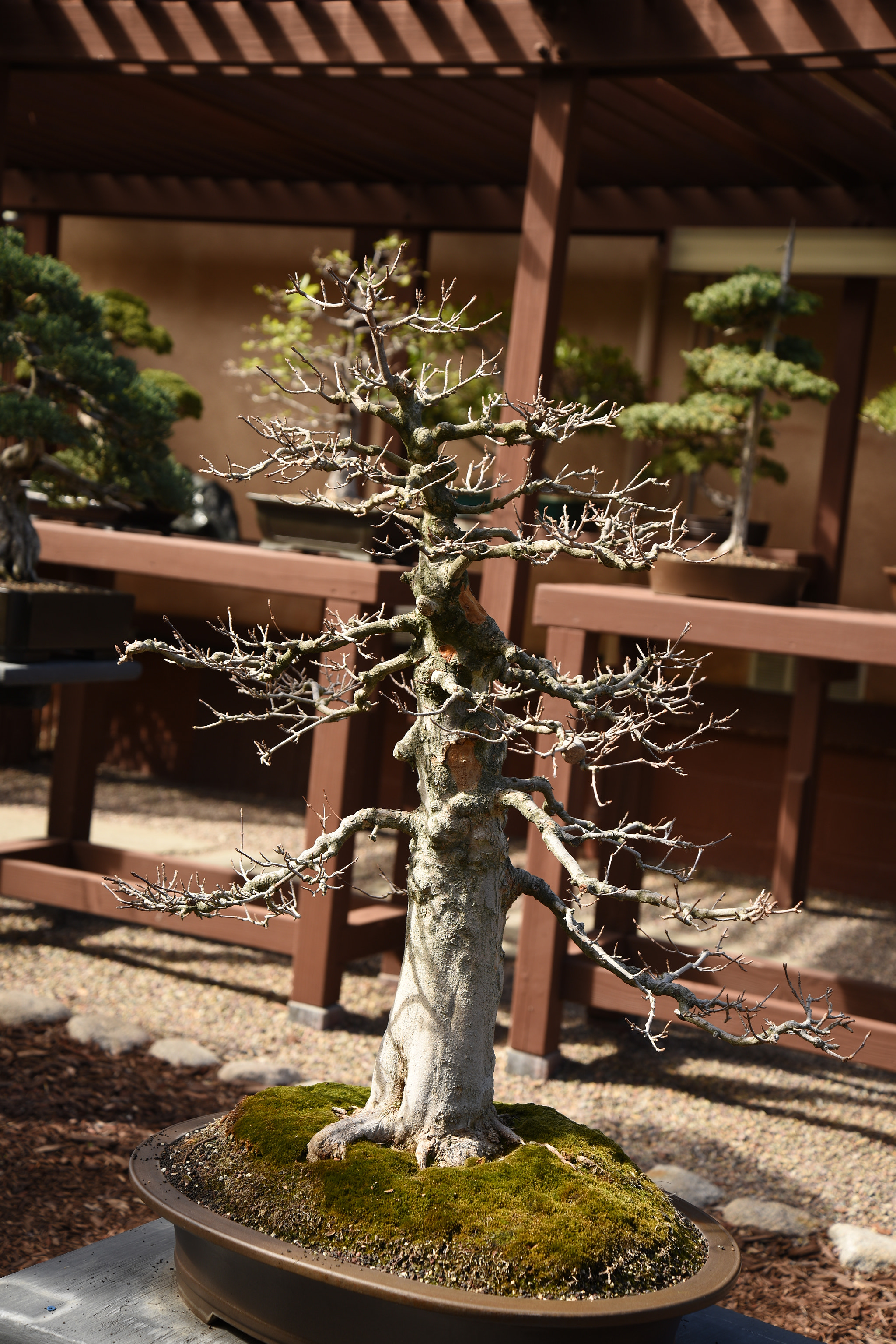 Nikon D810 sample photo. **4 photography