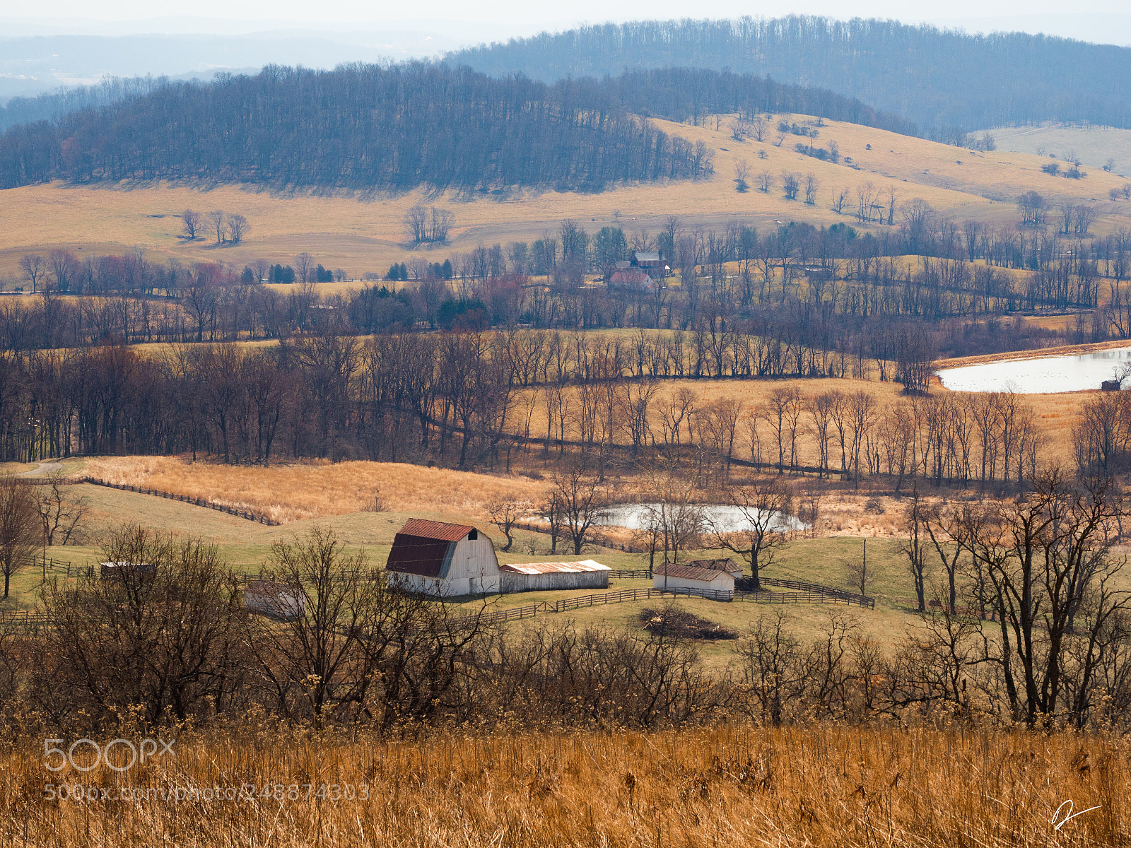 Olympus PEN-F sample photo. Pastoral photography
