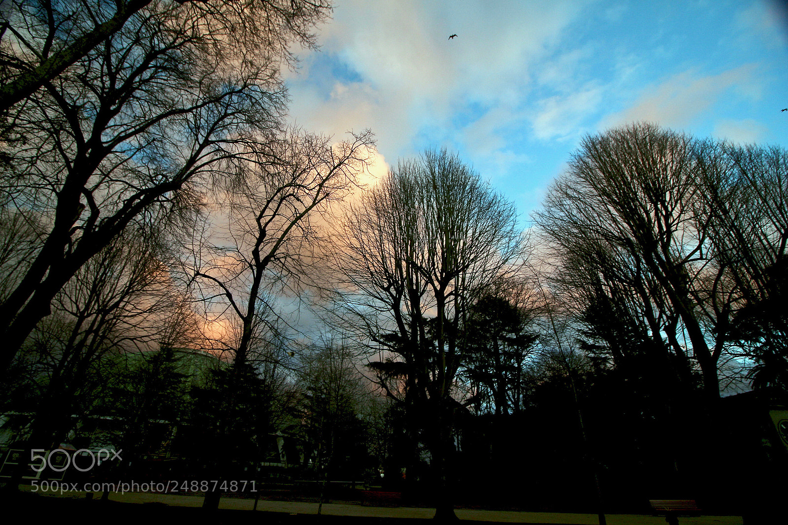 Canon EOS 700D (EOS Rebel T5i / EOS Kiss X7i) sample photo. Colors in the sky photography