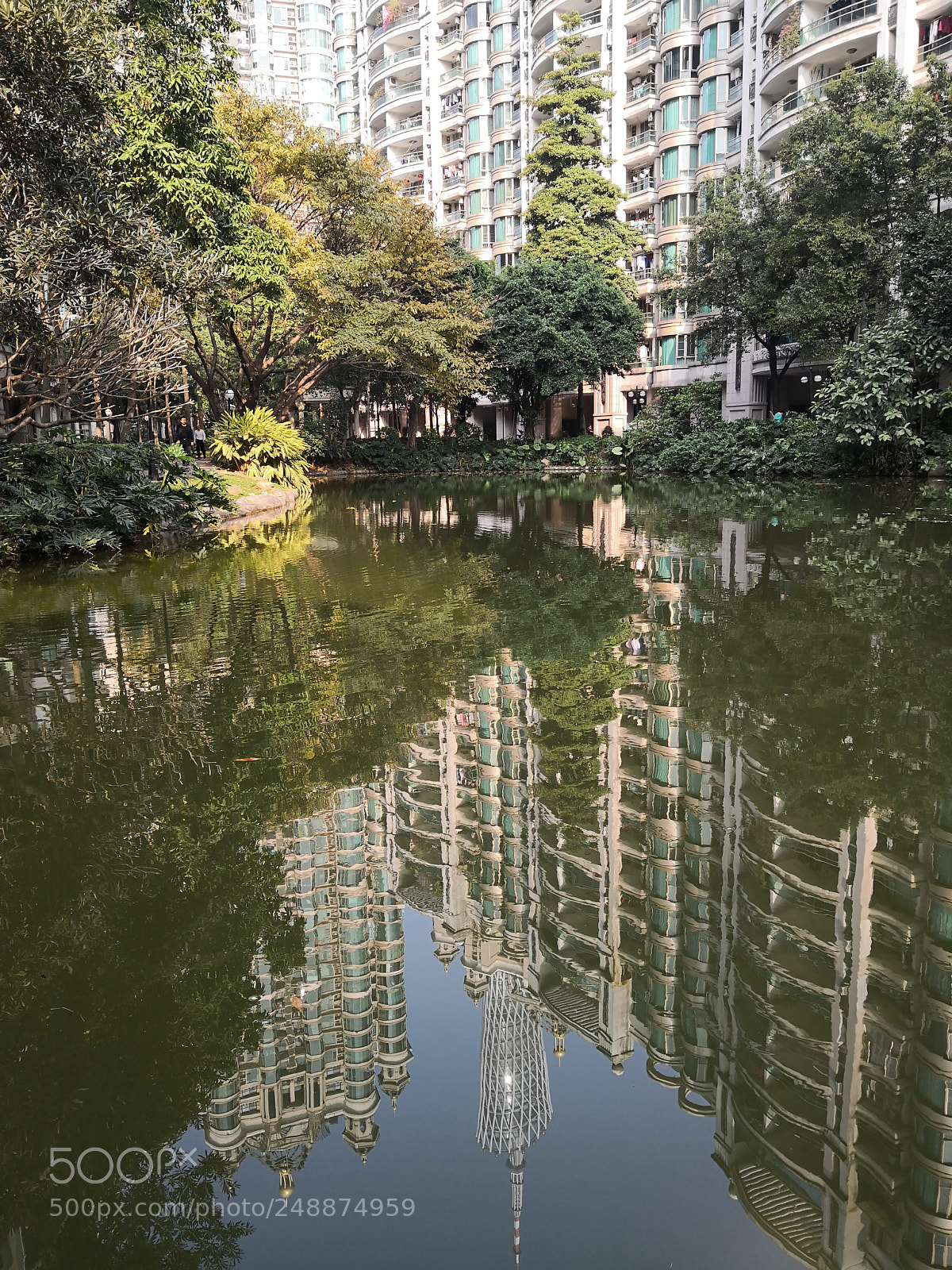 HUAWEI Mate 10 Pro sample photo. Untitled photography