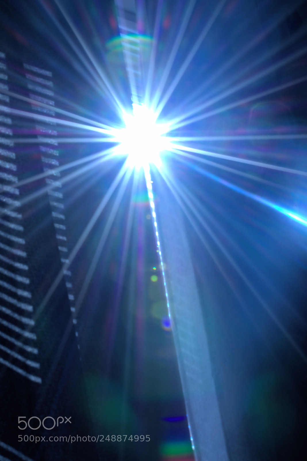 Nikon D3300 sample photo. Sun burst photography