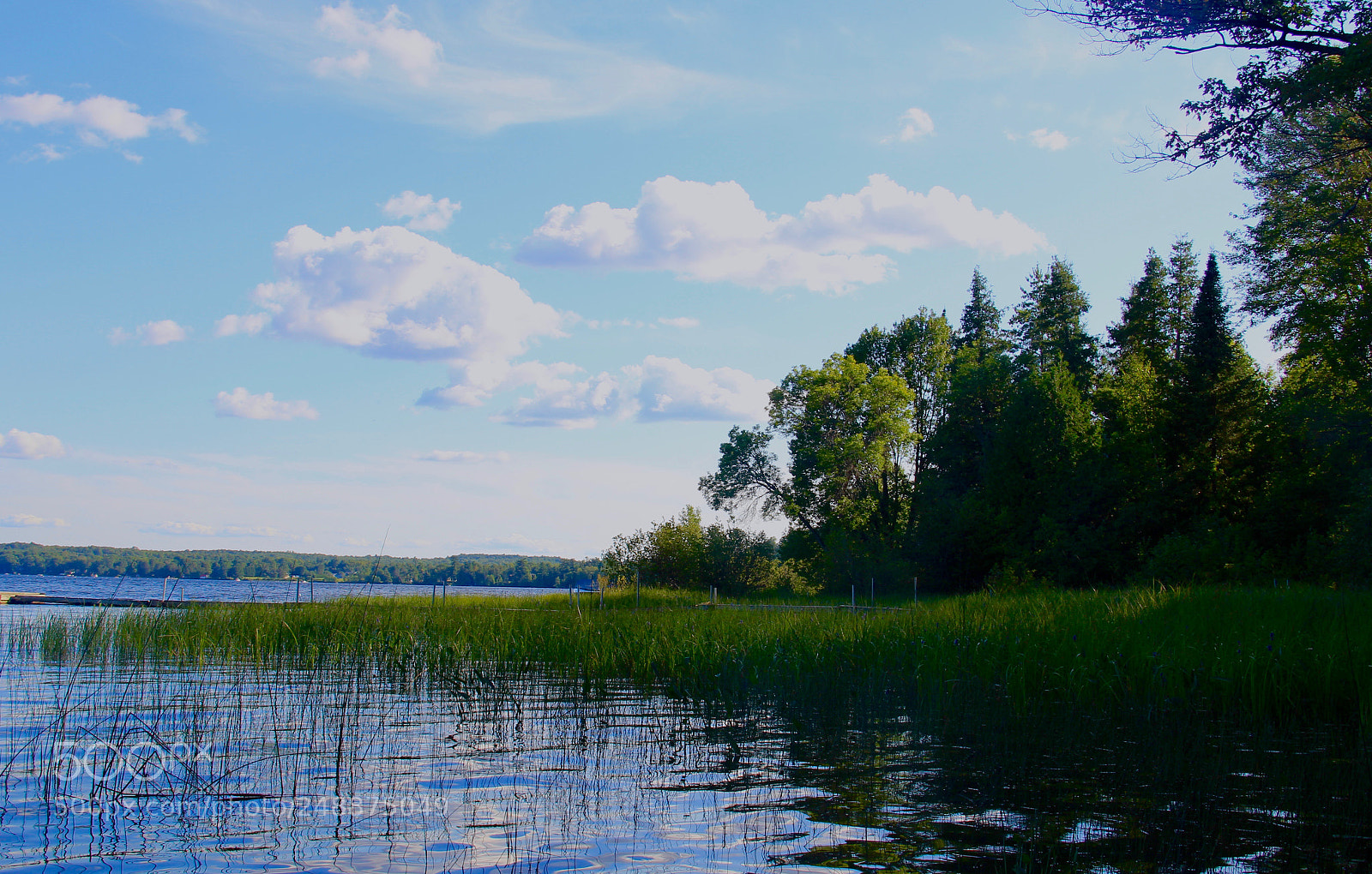 Canon EOS 60D sample photo. Untitled photography