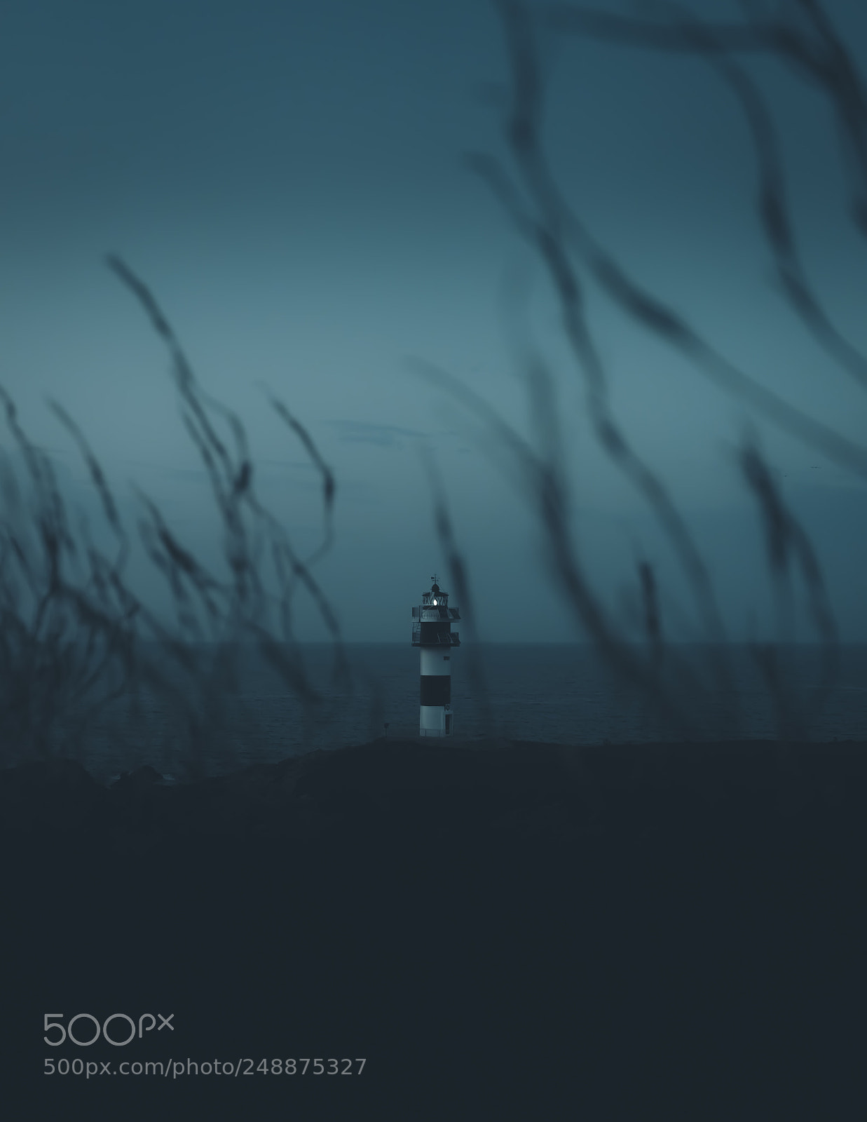 Sony a7 sample photo. Faro photography