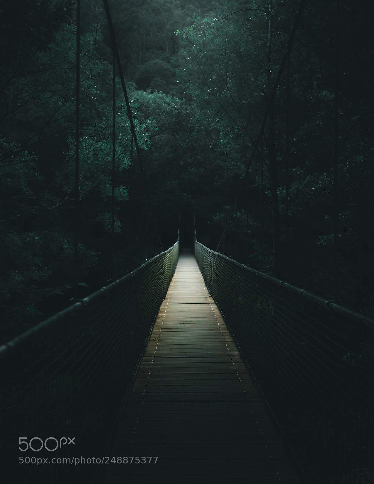 Sony a7 sample photo. Fragas do eume photography