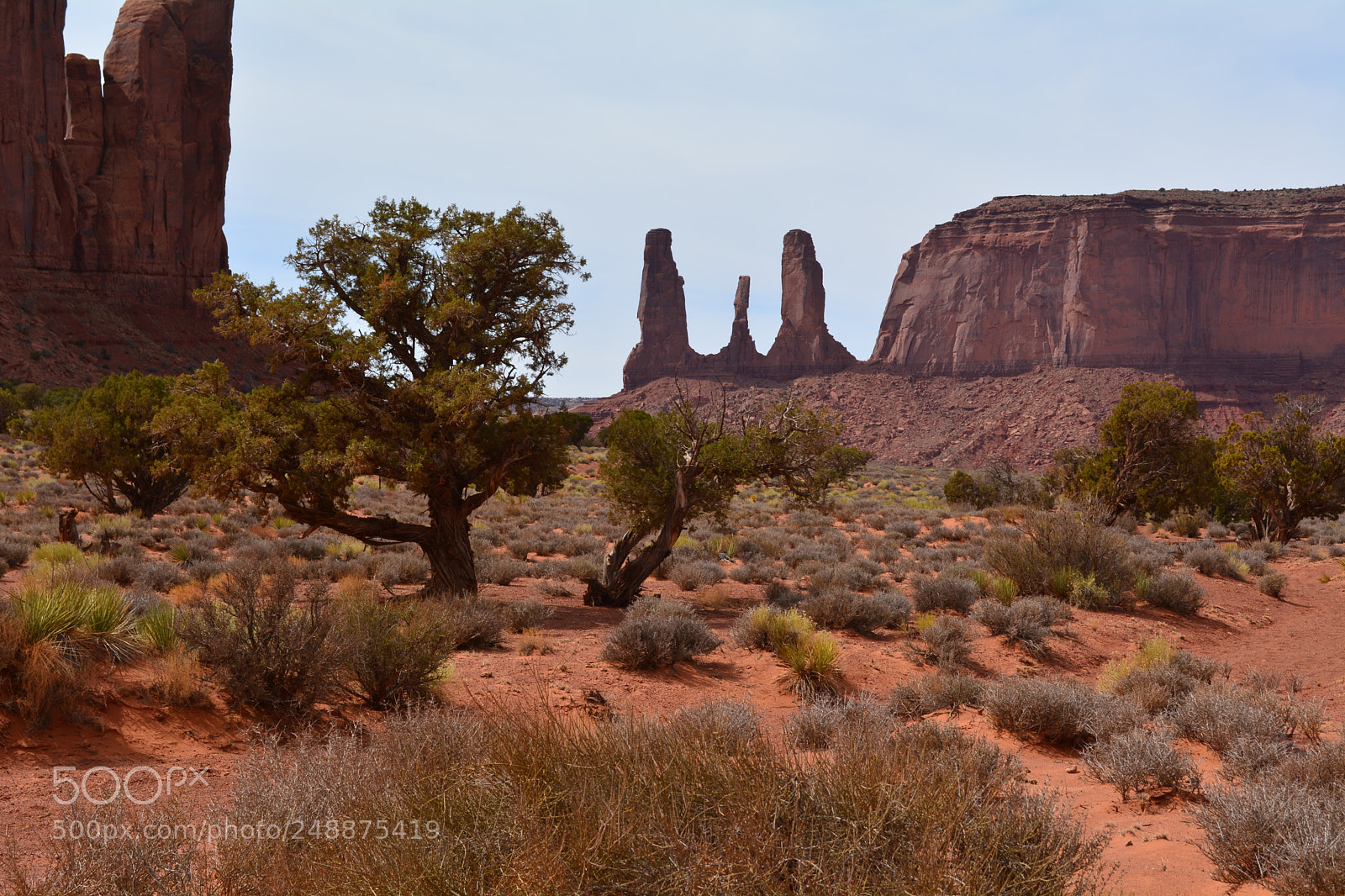 Nikon D5200 sample photo. Three sisters photography