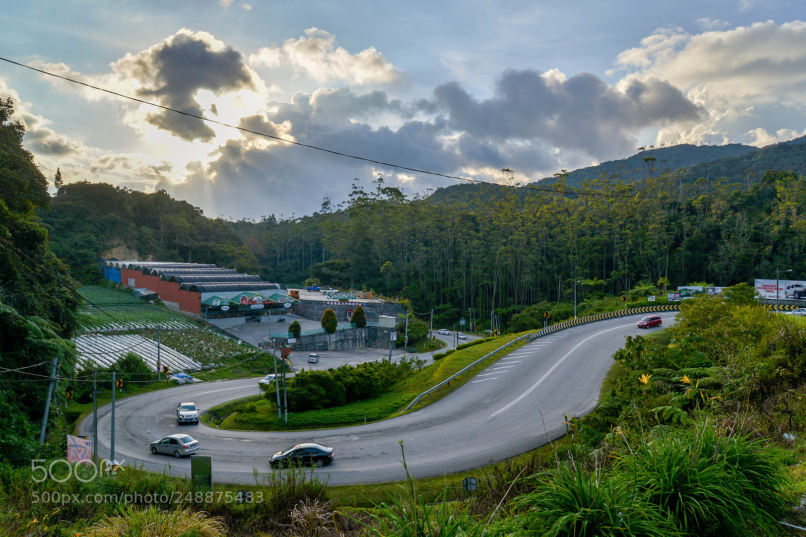 Nikon D610 sample photo. S curve road during photography