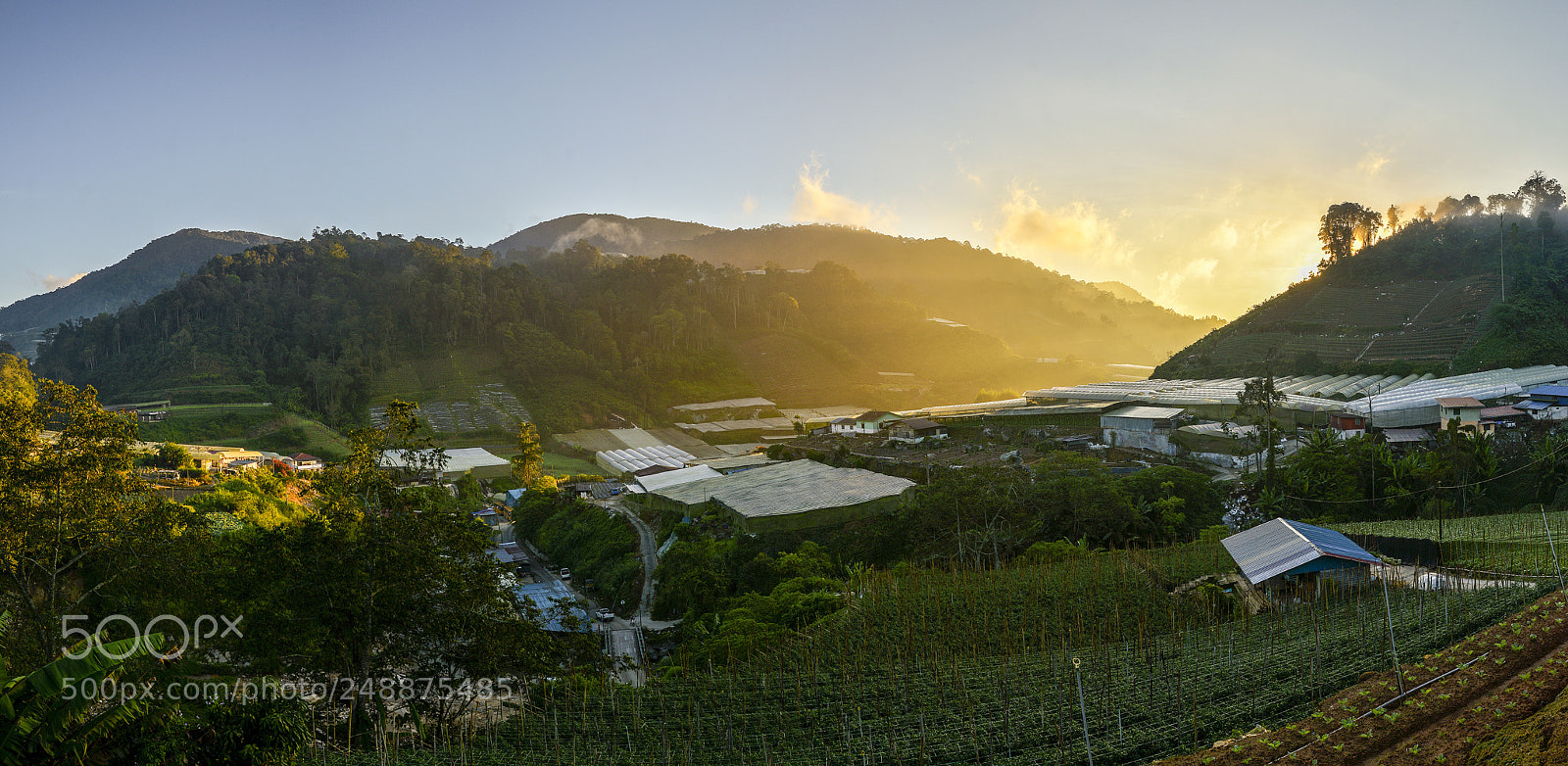 Nikon D610 sample photo. Sunrise at vegetable farm photography