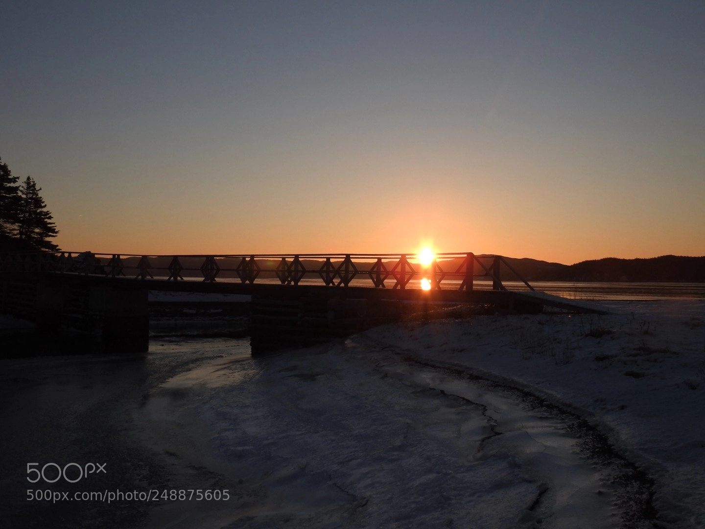 Nikon Coolpix P900 sample photo. Marystown nl photography