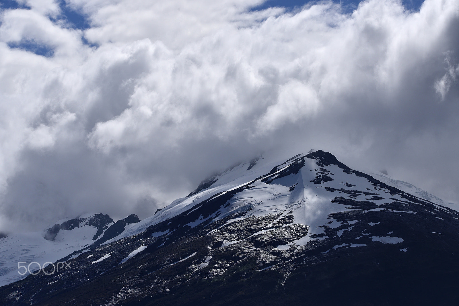 Sigma 150-600mm F5-6.3 DG OS HSM | S sample photo. Stay photography