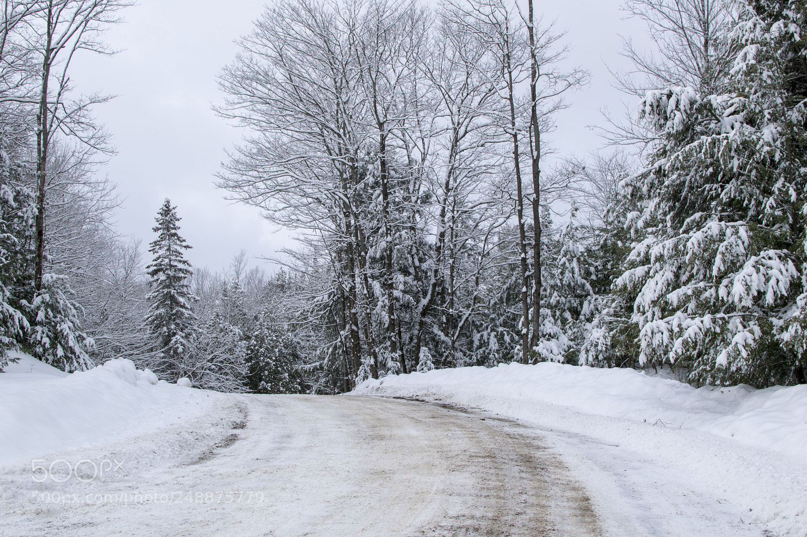 Nikon D3300 sample photo. Winter 4 photography