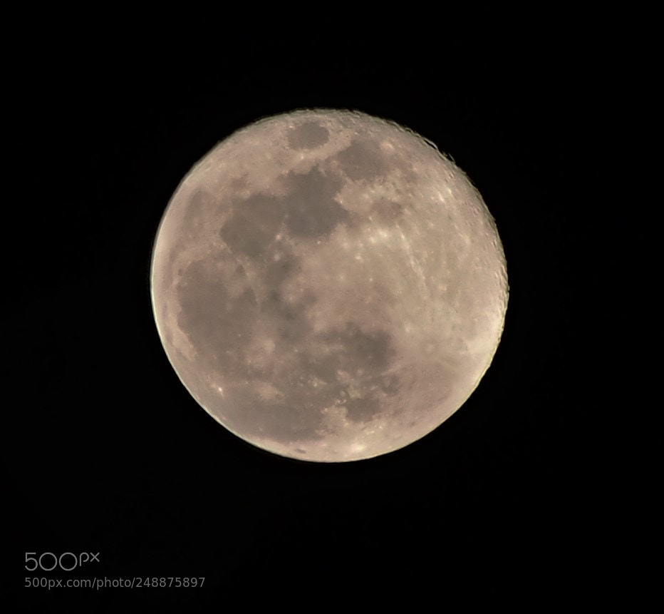 Olympus OM-D E-M5 sample photo. Full moon photography