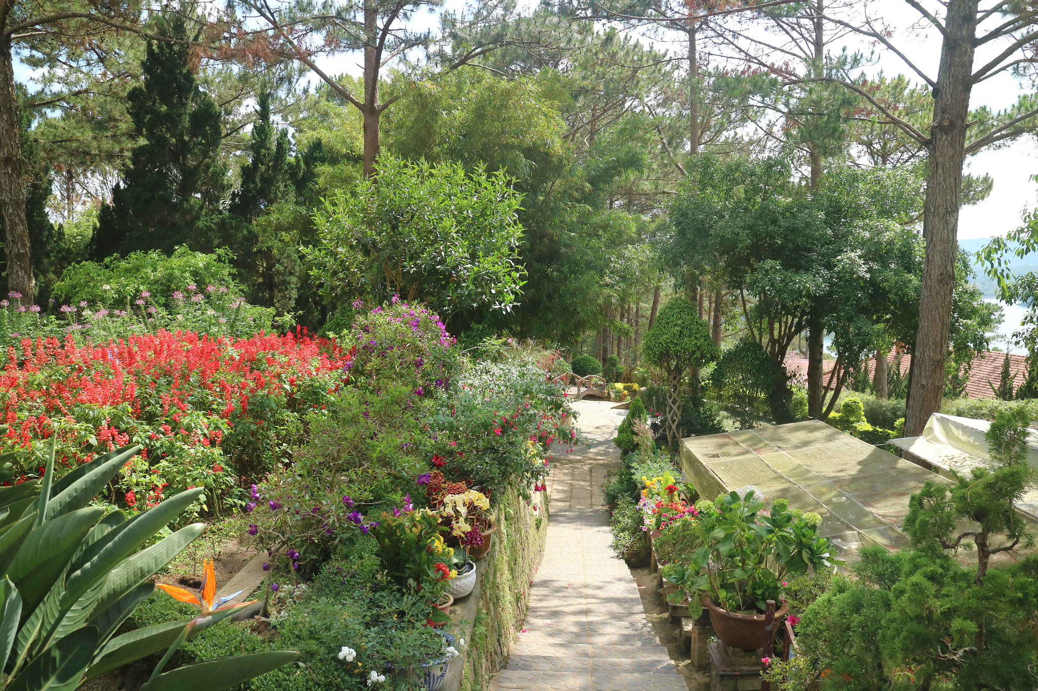 Canon EOS M3 sample photo. Pagoda garden vietnam photography