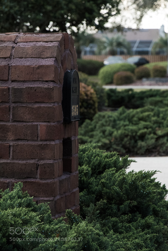 Canon EOS 80D sample photo. Brick mailbox photography