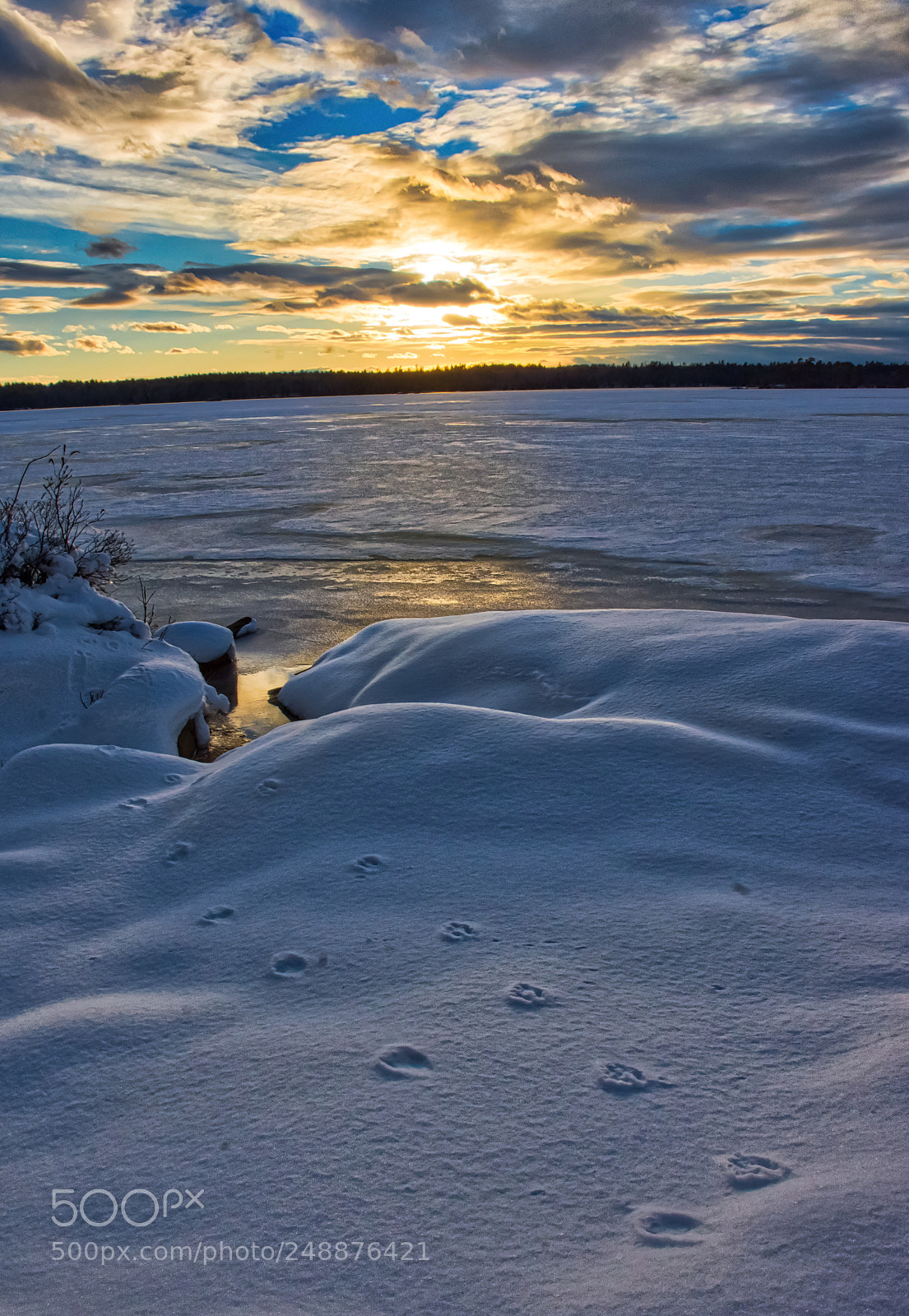 Nikon D7200 sample photo. Soft winter glow photography