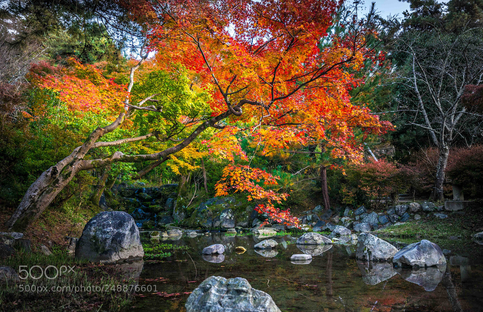 Sony a7 II sample photo. Kyoto email photos photography
