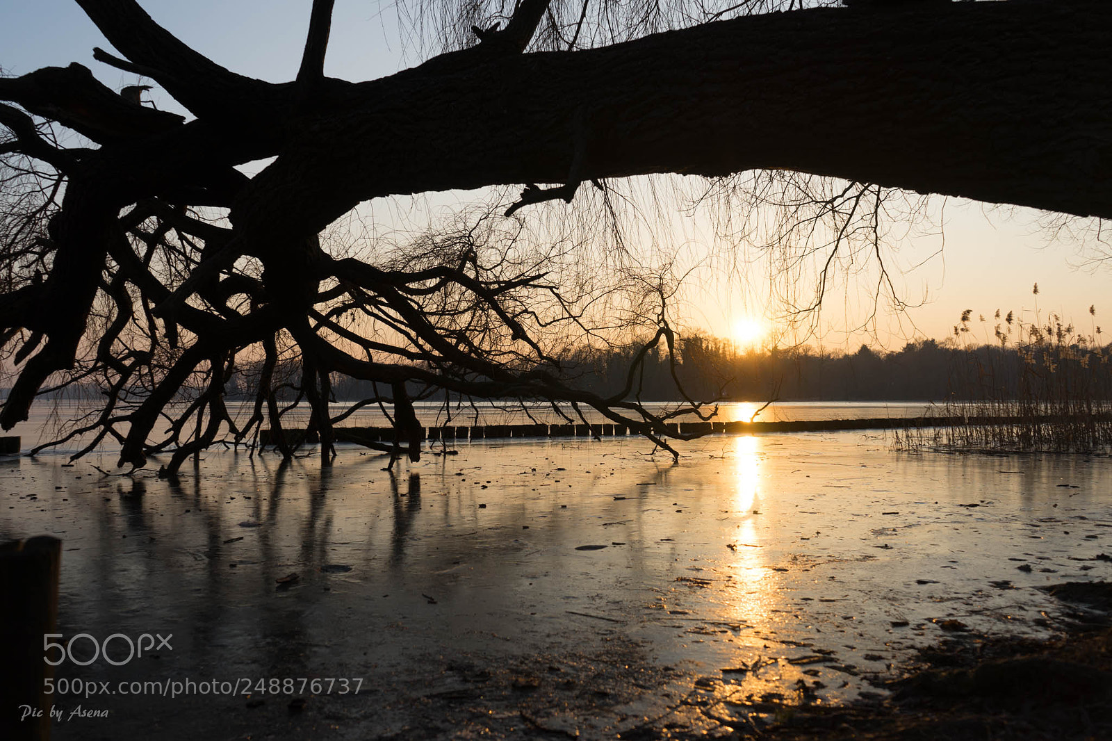 Sony a7 sample photo. Icy march photography