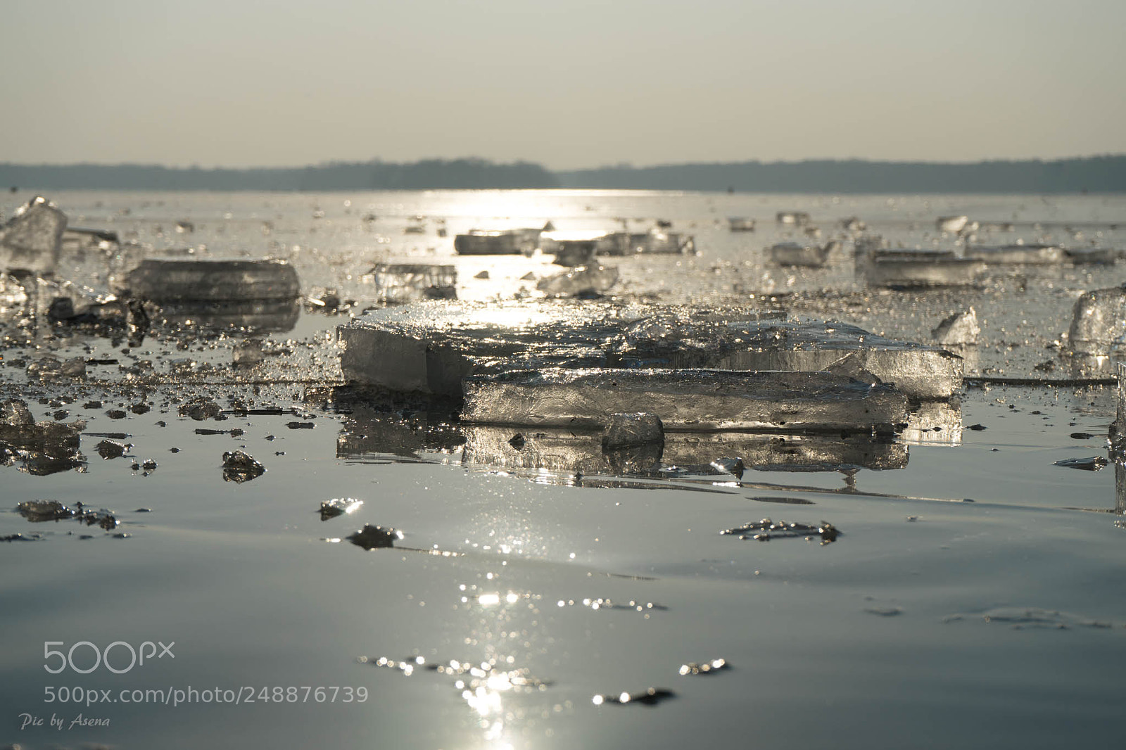 Sony a7 sample photo. Icy march photography