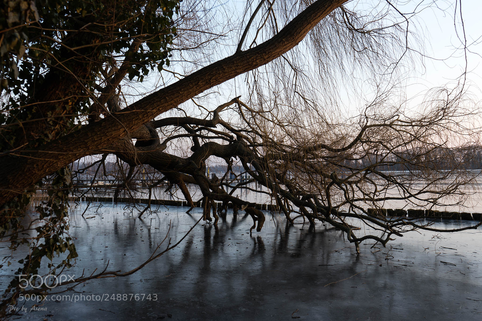 Sony a7 sample photo. Icy march photography