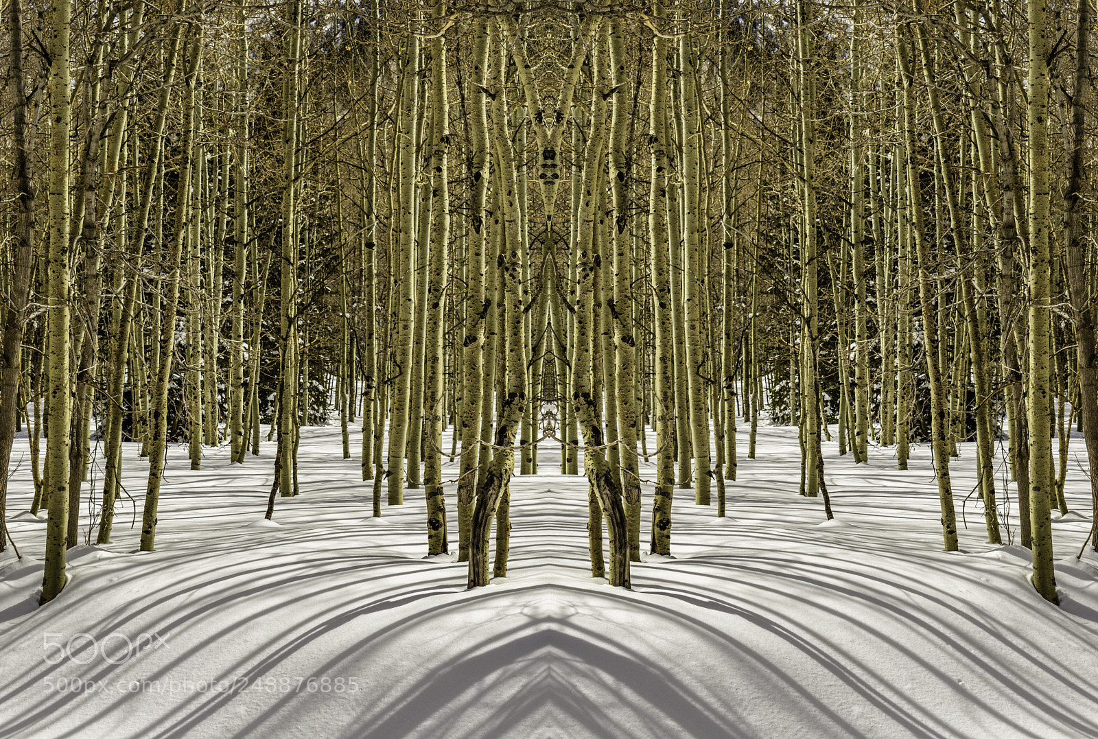 Nikon D5500 sample photo. Aspen mirror photography