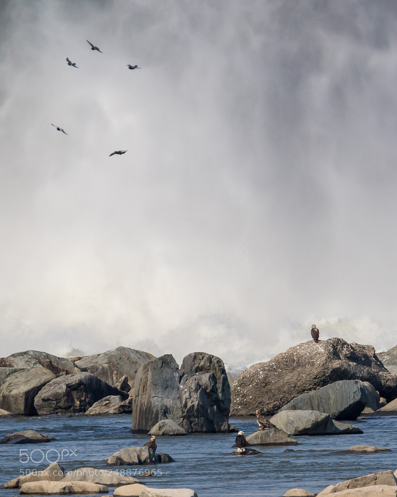 Canon EOS 7D Mark II sample photo. The flight of the photography
