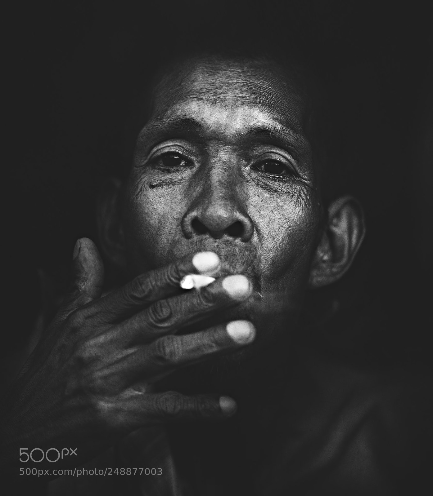 Nikon D7100 sample photo. Untitled photography