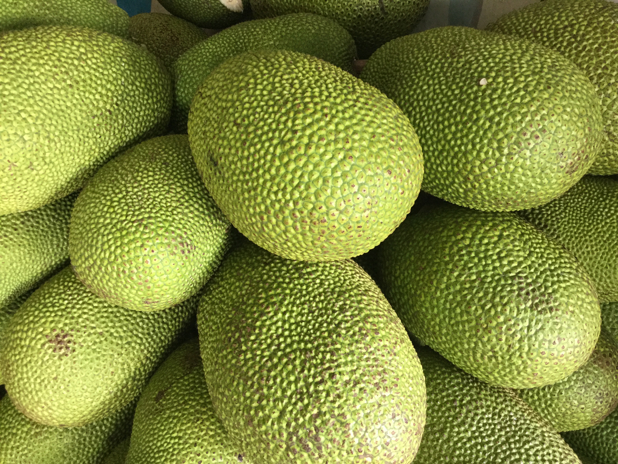 Apple iPad mini 4 sample photo. Jackfruit photography