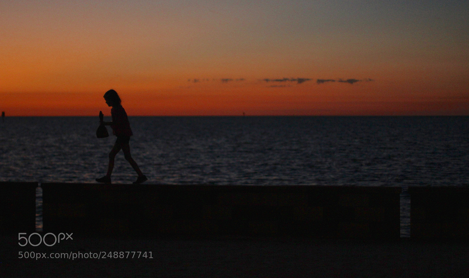 Canon EOS 60D sample photo. Coming home photography