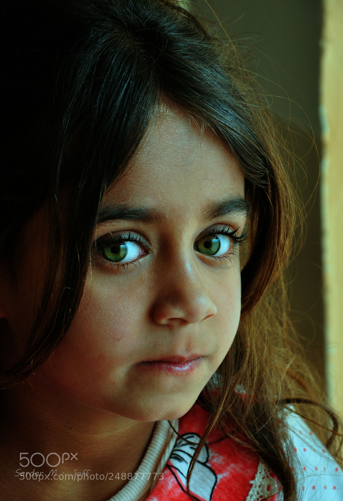 Nikon D90 sample photo. Green eyes photography